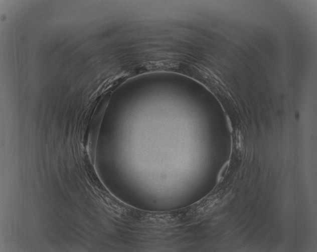 X0000066940915200603311413