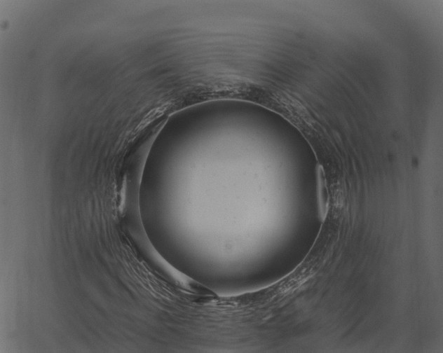 X0000066940916200603311413