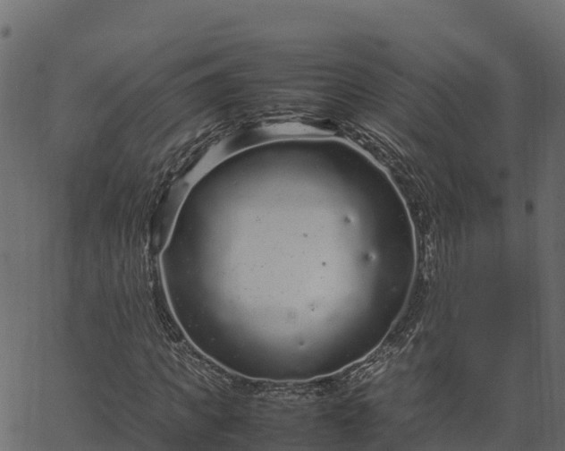 X0000066940917200603311413