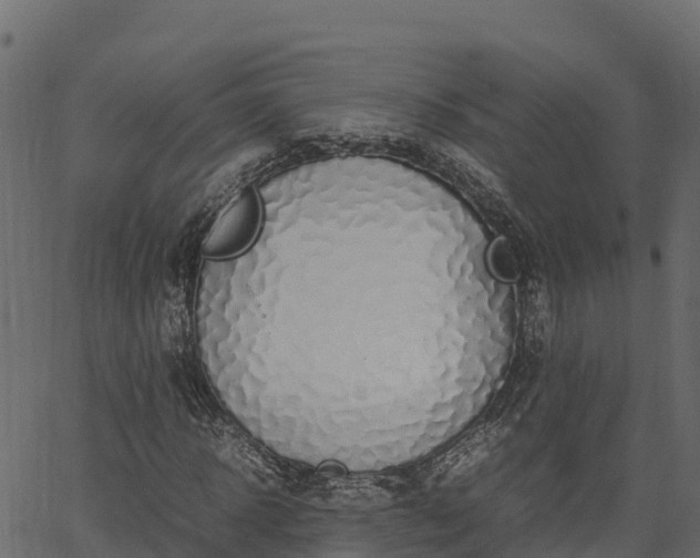 X0000066940918200603311413