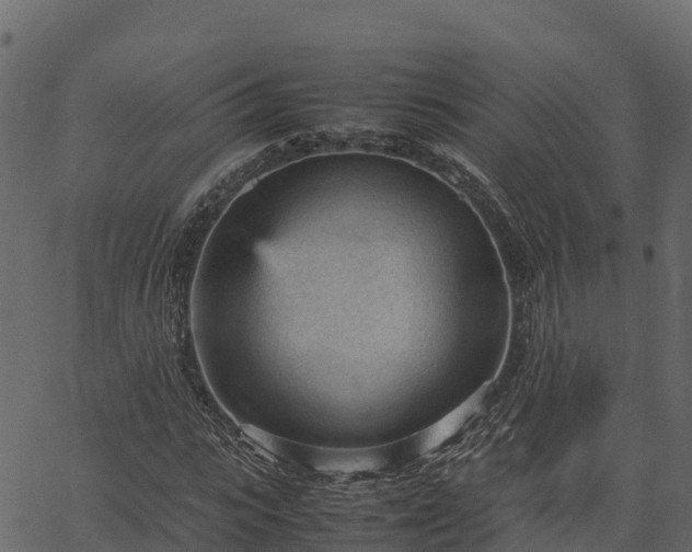 X0000066940919200603311413