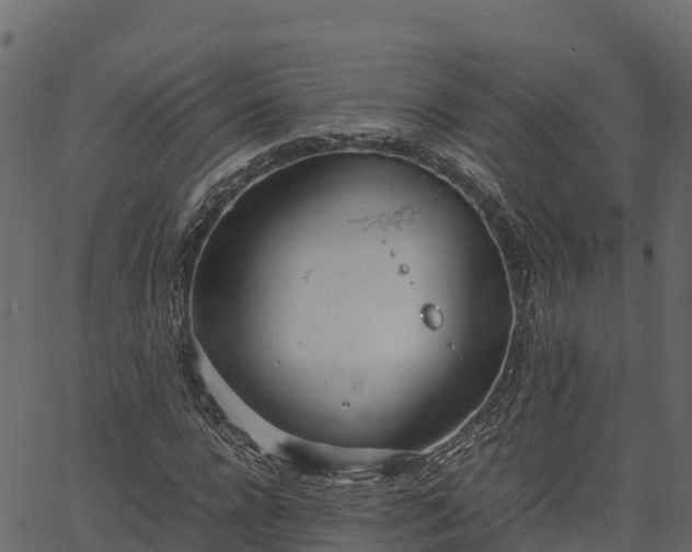 X0000066940920200603311413