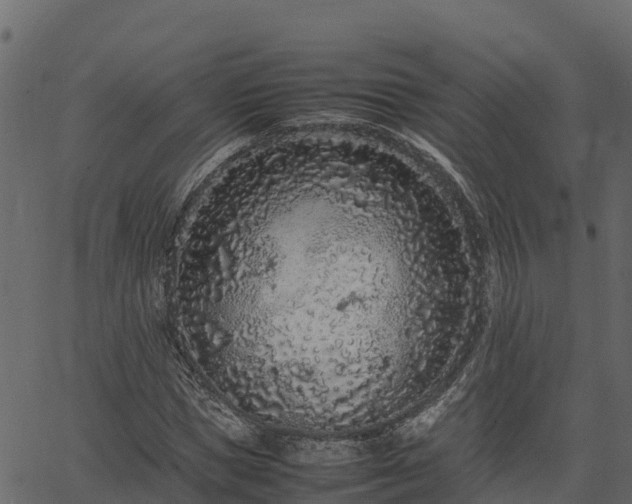 X0000066940921200603311413