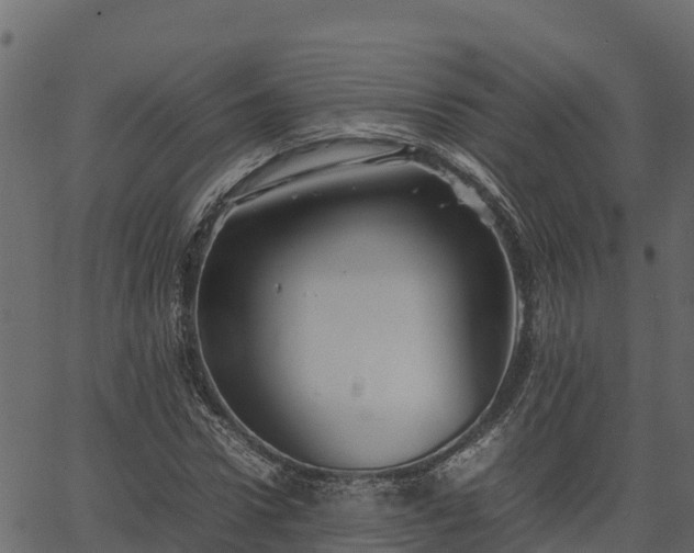 X0000066940922200603311413