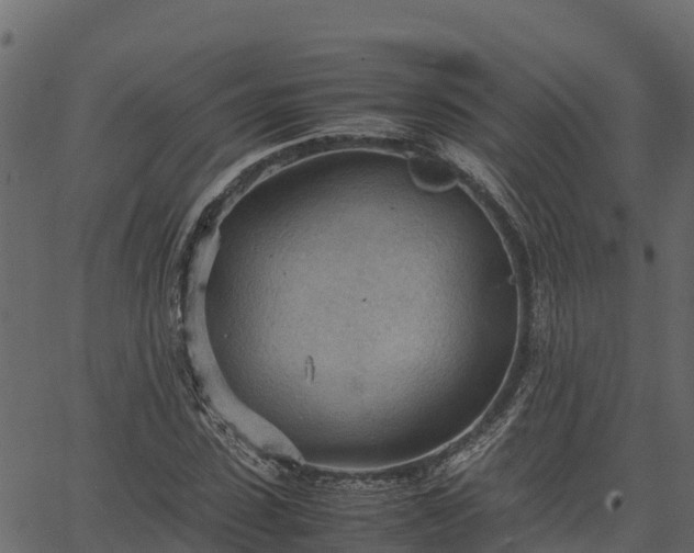 X0000066940923200603311413