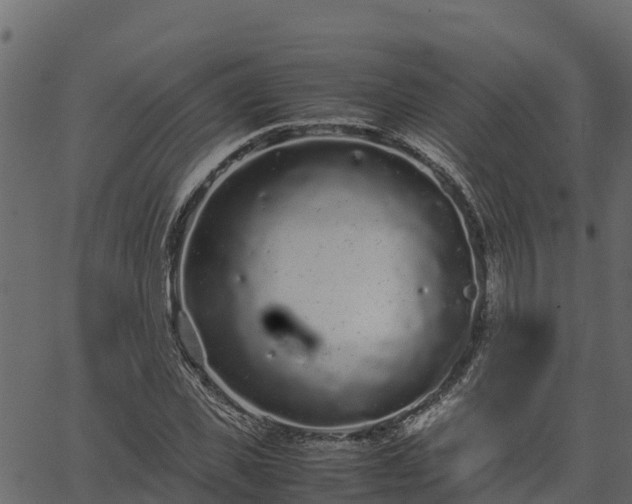 X0000066940925200603311413