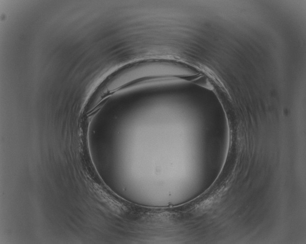 X0000066940926200603311413