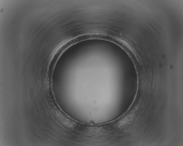 X0000066940927200603311413