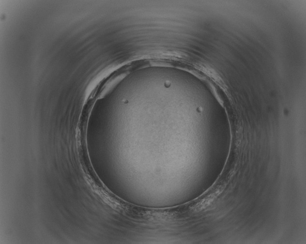 X0000066940928200603311413