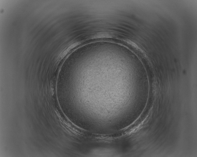 X0000066940929200603311413