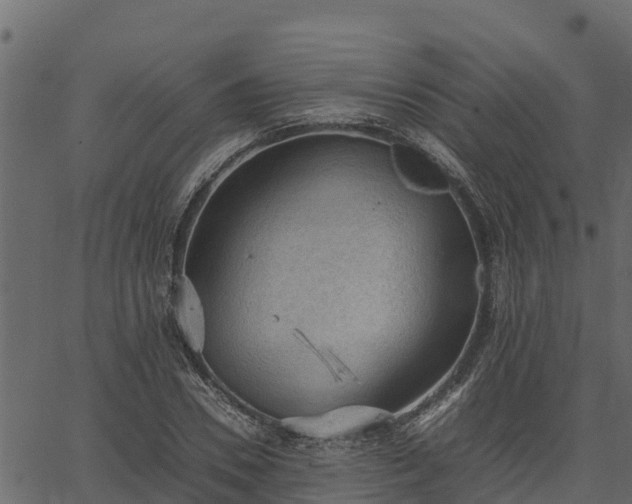 X0000066940930200603311413