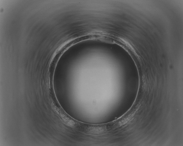 X0000066940931200603311413