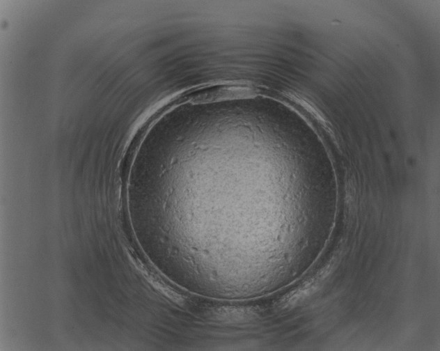 X0000066940933200603311413