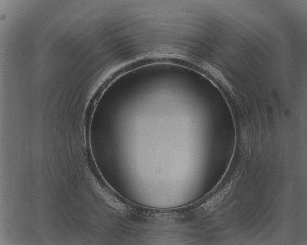 X0000066940934200603311413