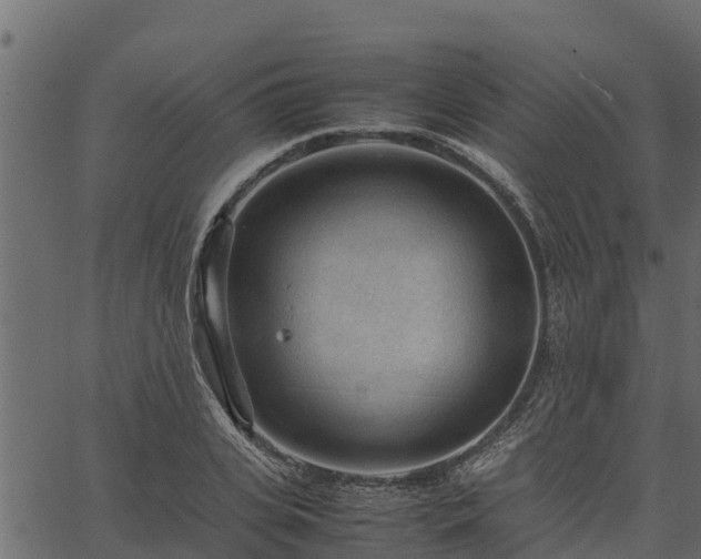 X0000066940935200603311413