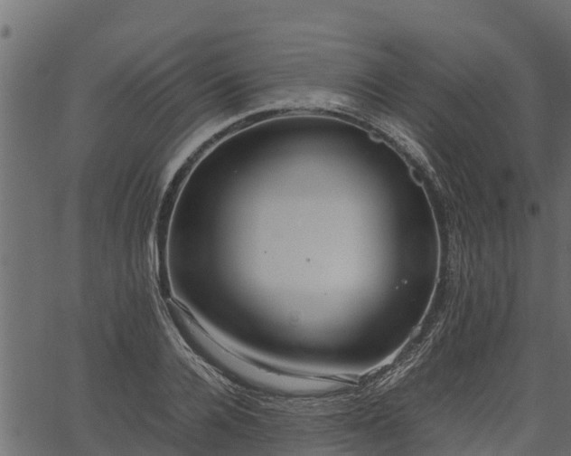 X0000066940936200603311413