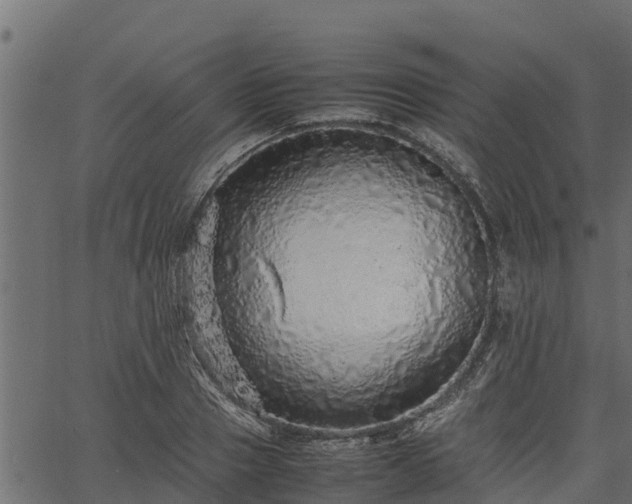 X0000066940937200603311413