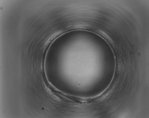 X0000066940938200603311413