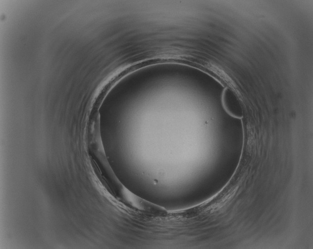 X0000066940939200603311413