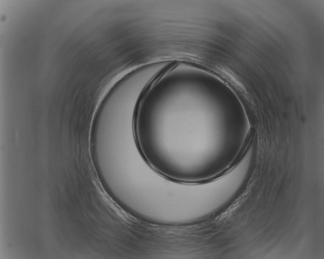 X0000066940940200603311413