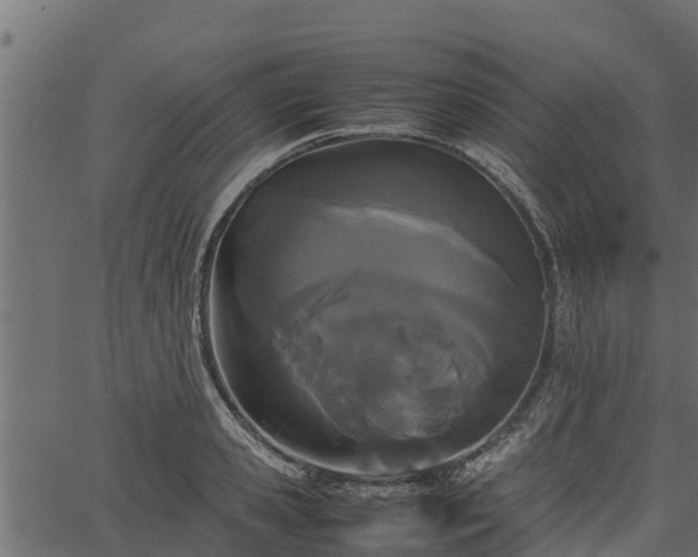 X0000066940941200603311413