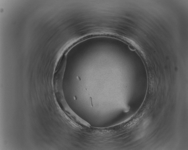 X0000066940943200603311413