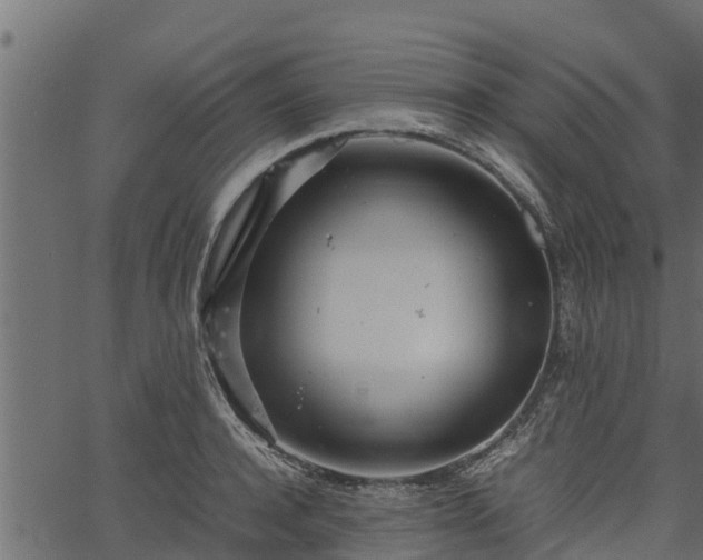 X0000066940944200603311413