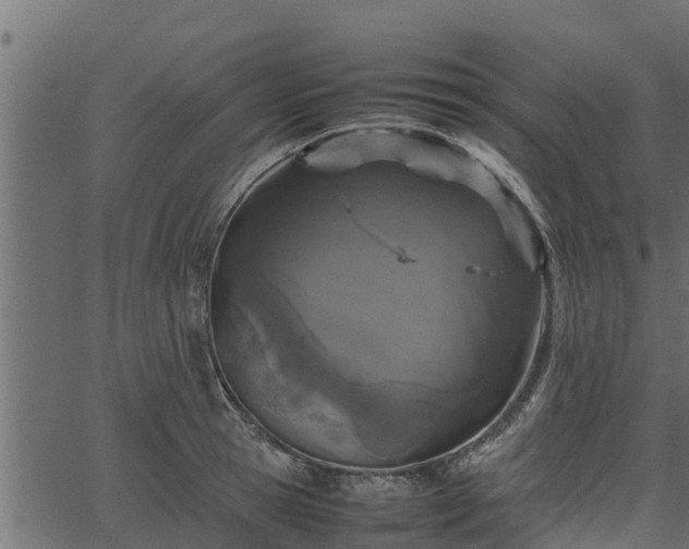 X0000066940945200603311413