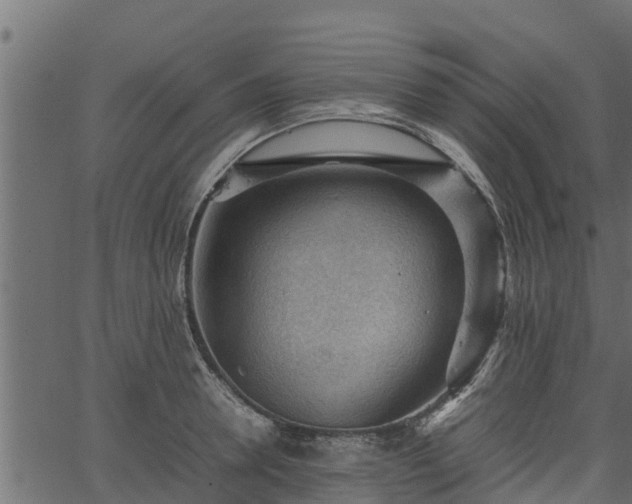 X0000066940946200603311414