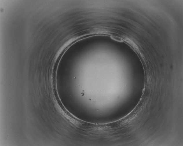 X0000066940947200603311414