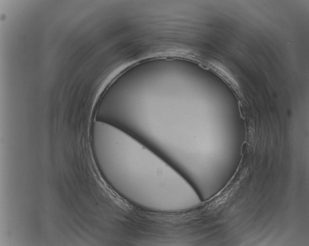 X0000066940948200603311414