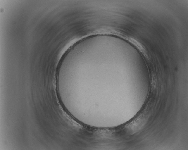 X0000066940950200603311414