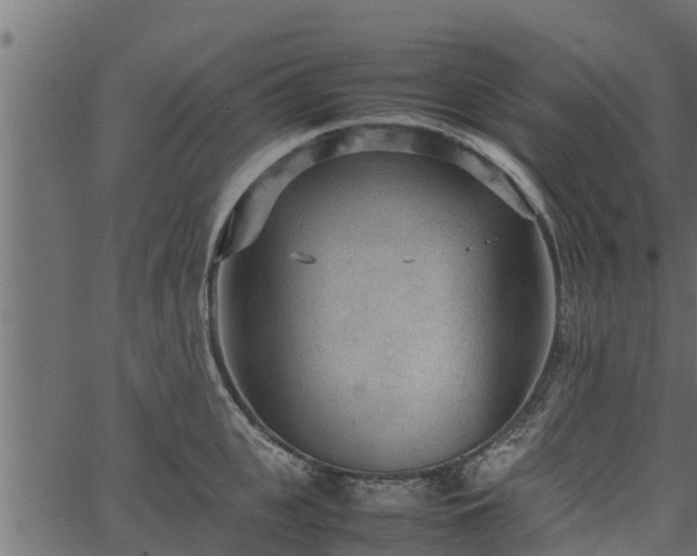 X0000066940951200603311414