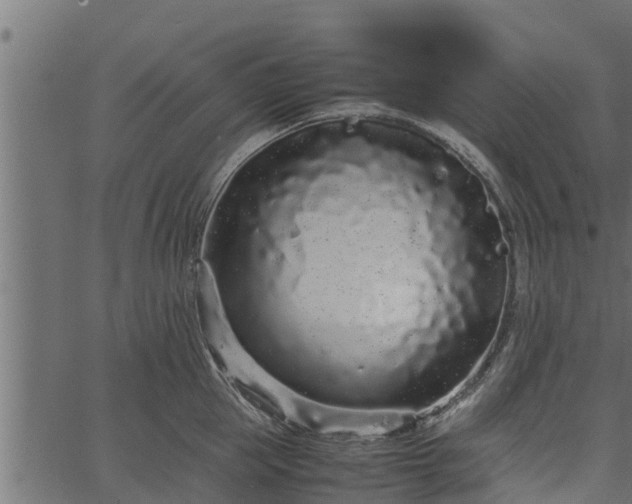 X0000066940953200603311414