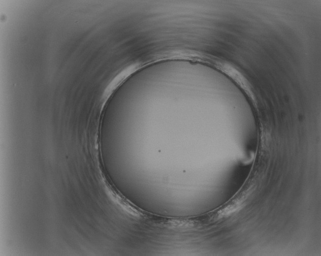 X0000066940954200603311414