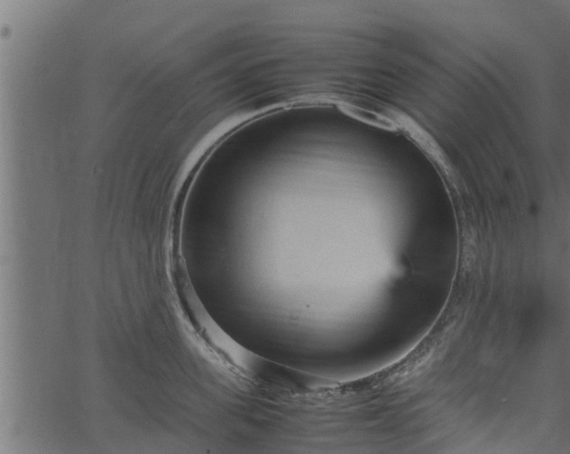 X0000066940955200603311414