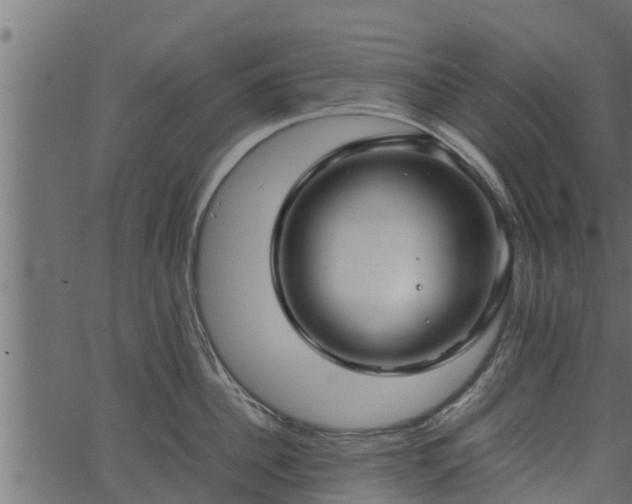 X0000066940956200603311414