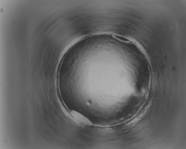 X0000066940957200603311414