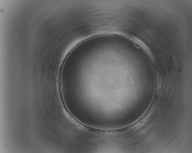 X0000066940958200603311414