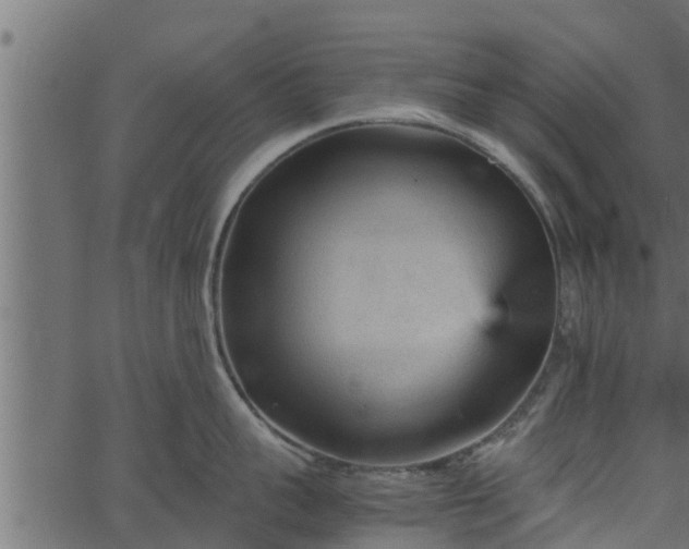 X0000066940959200603311414