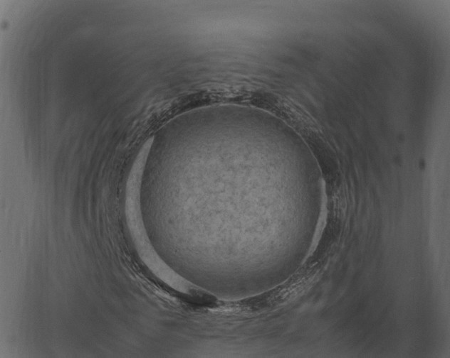 X0000066940961200603311413