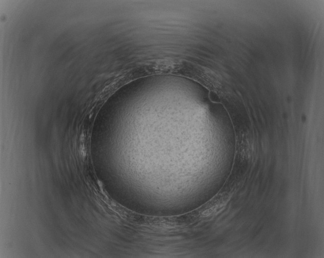 X0000066940962200603311413