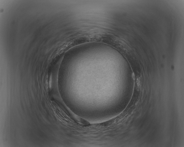 X0000066940963200603311413