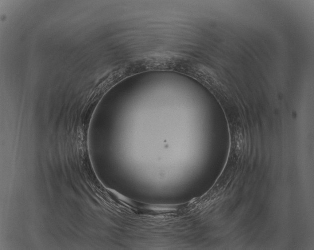 X0000066940964200603311413