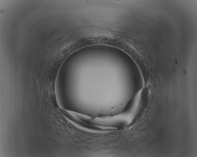 X0000066940965200603311413