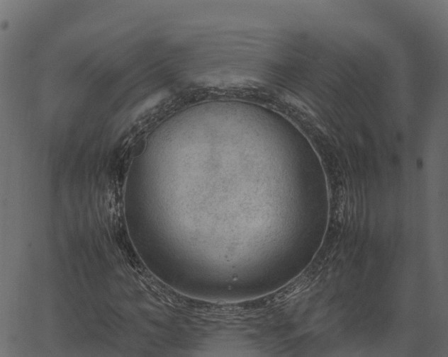 X0000066940966200603311413