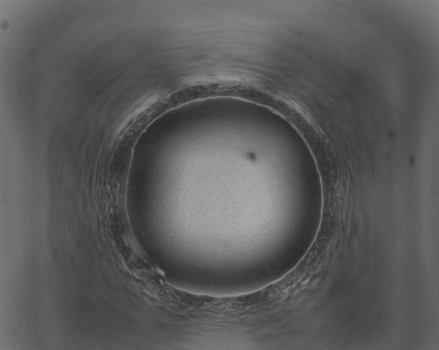 X0000066940967200603311413