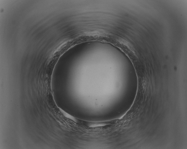 X0000066940968200603311413