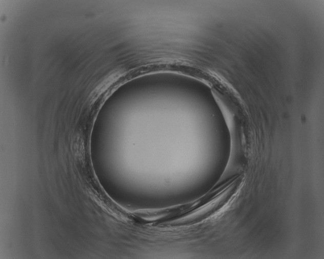 X0000066940969200603311413