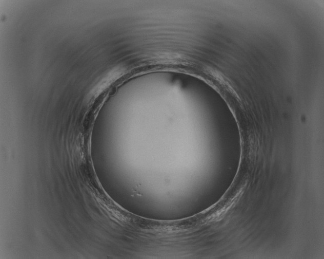 X0000066940970200603311413